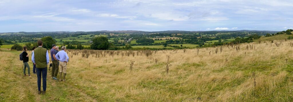 Derek Gow and Heaths to Sea project team looking over lower Otter Valley from Otterton Hill to Pebblebed Heaths